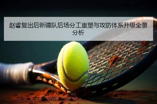 赵睿复出后新疆队后场分工重塑与攻防体系升级全景分析